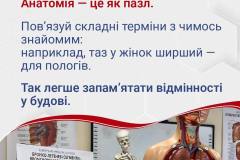 news_2_4